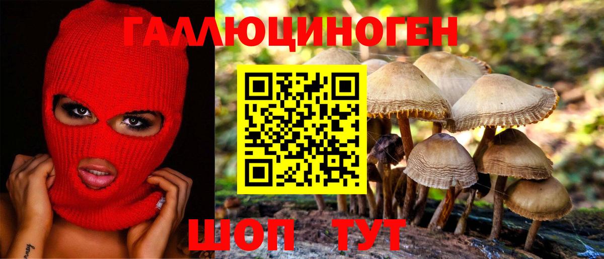 Бугуруслан  Псилоцибиновые грибы Psilocybine cubensis  Вход с VPN  Псилоцибиновые грибы ЛСД 