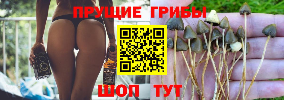Галлюциногенные грибы GOLDEN TEACHER Бугуруслан